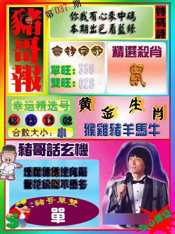 037期猪哥报[图]